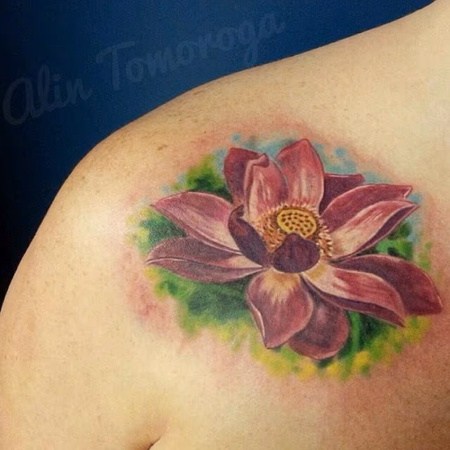Lotus Flower