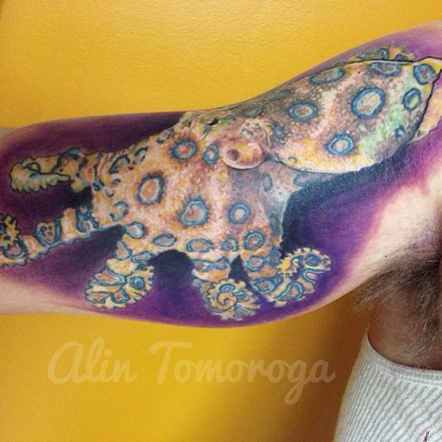 Greater Blue Ring Octopus