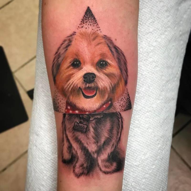 Adorable puppy portrait
