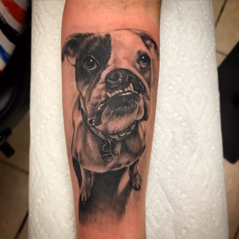 Dog portrait