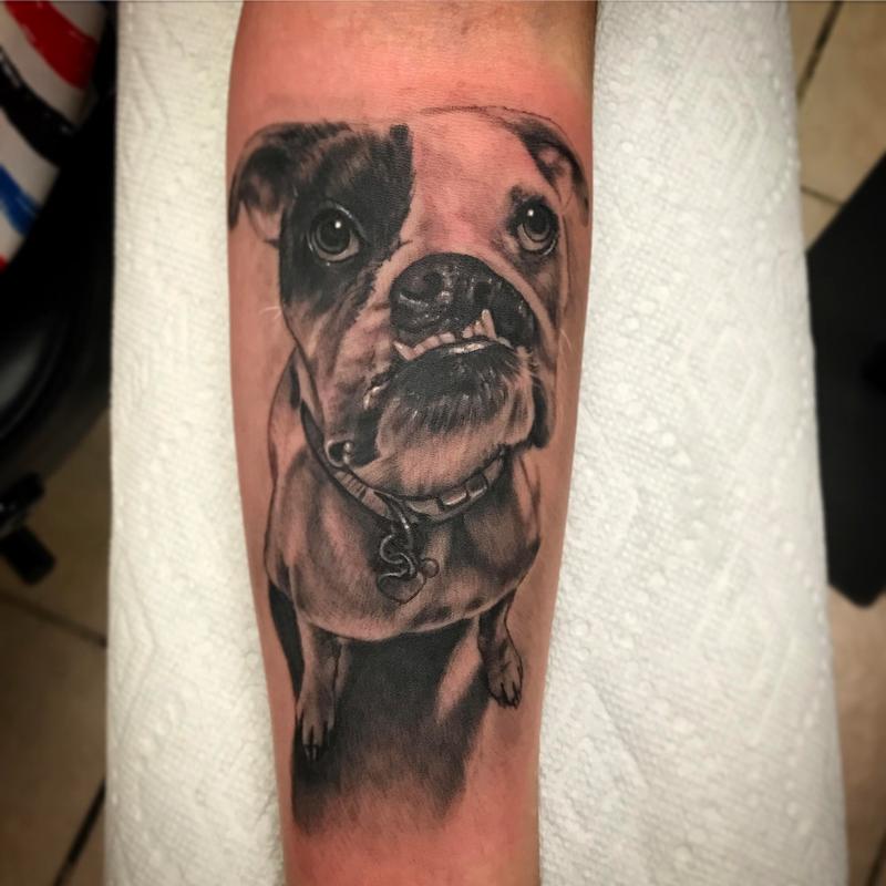 Dog portrait