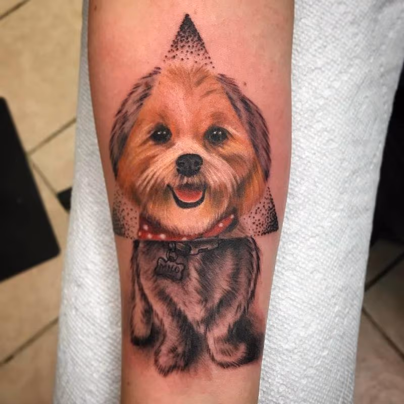 Adorable puppy portrait