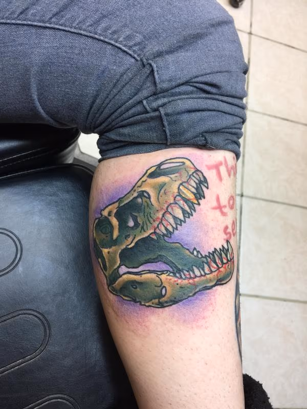 Tyrannosaurus rex skull