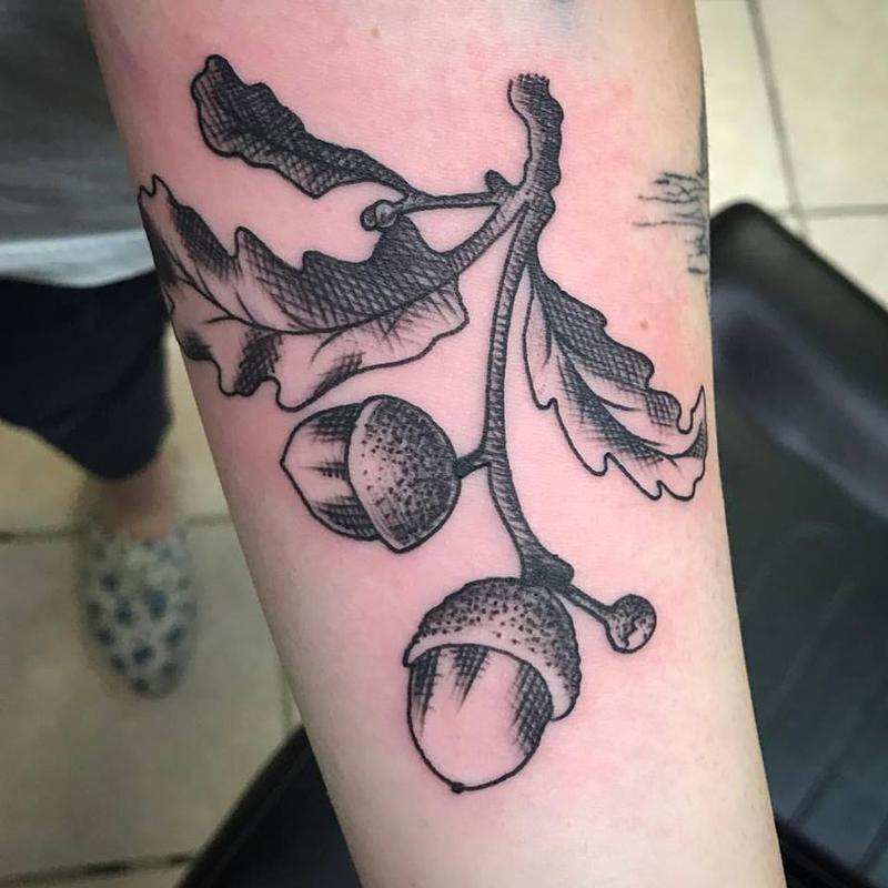 Acorn
