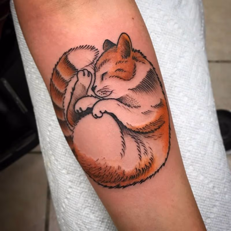 Kitty