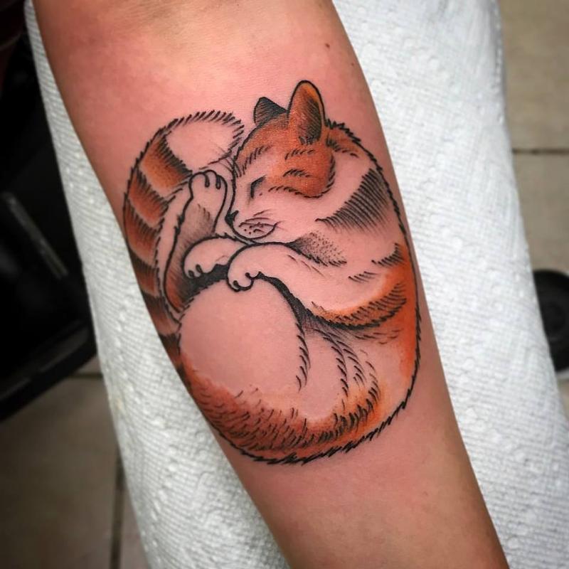 Kitty