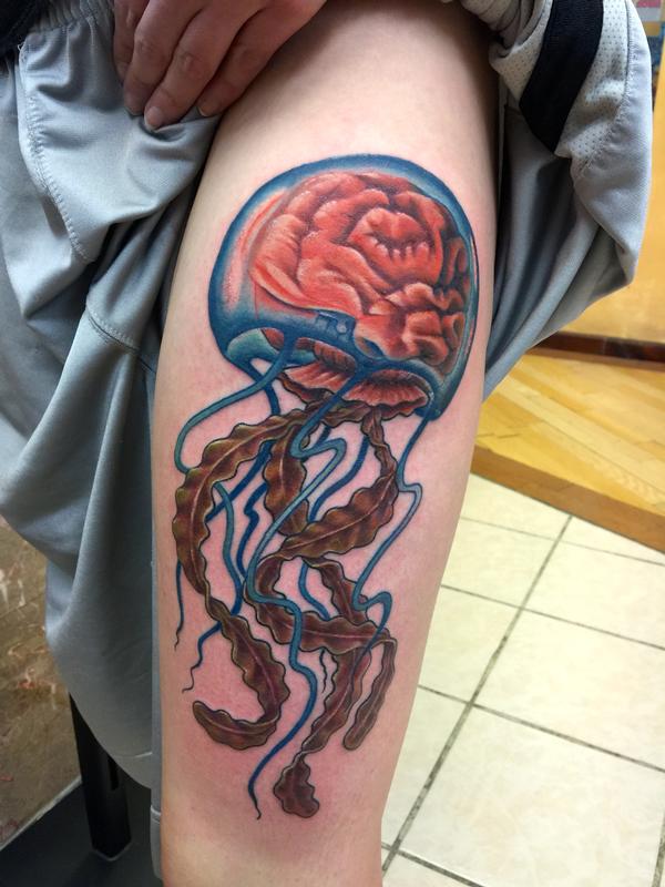 Jellyfish brain