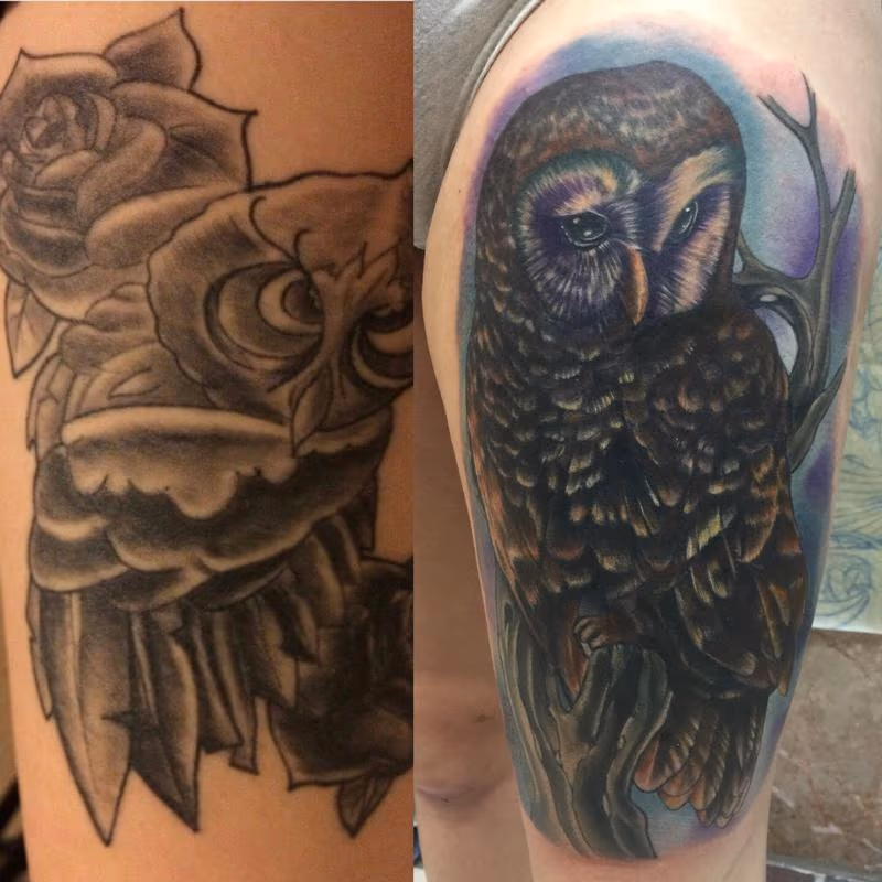 Owl cover up