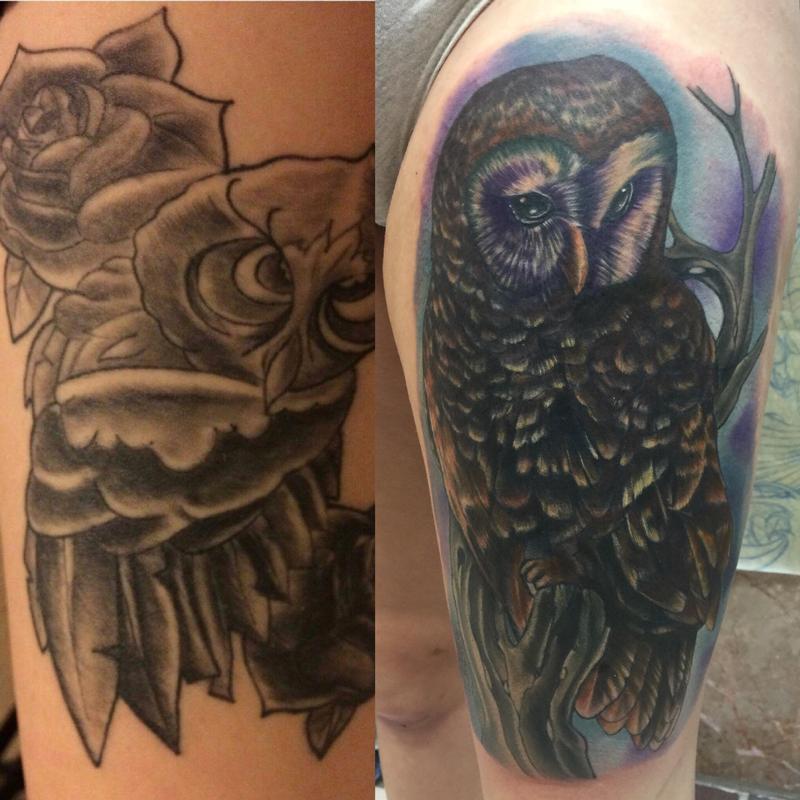 Owl cover up