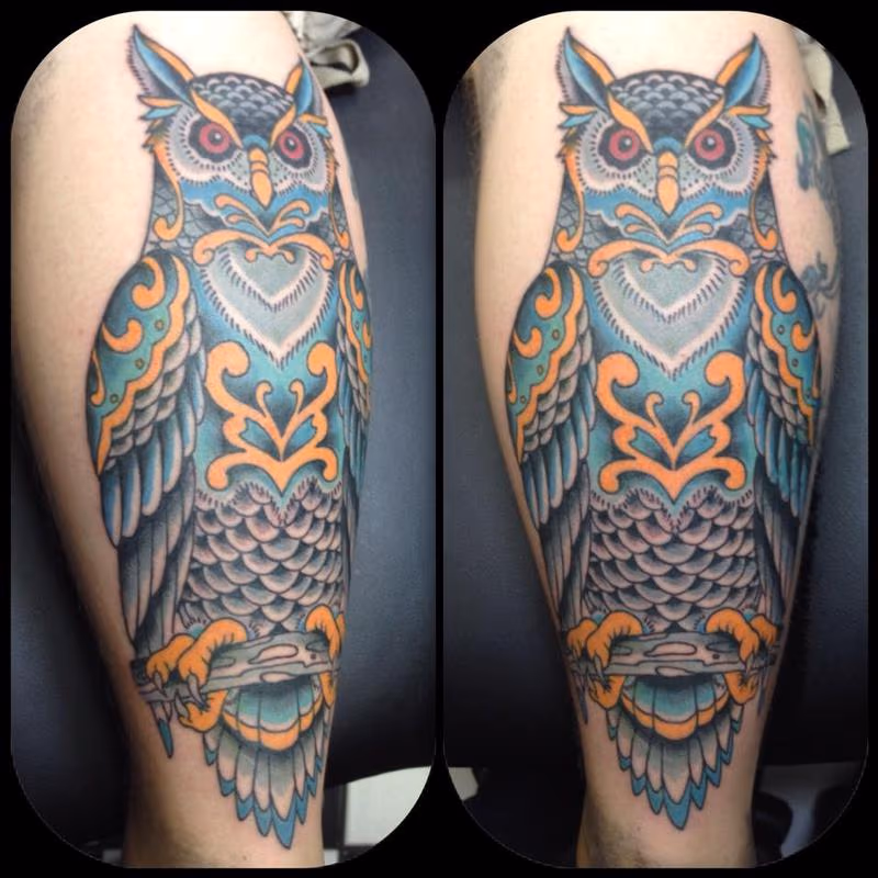 Owl