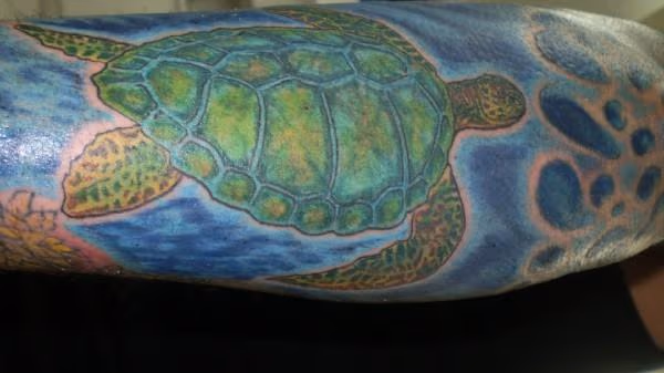 Sea Turtle Tattoo