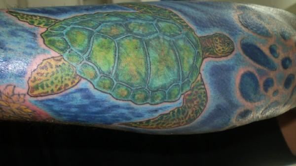 Sea Turtle Tattoo