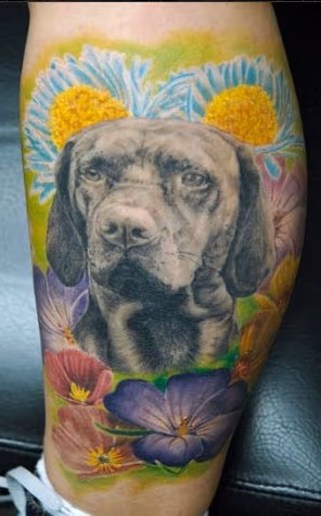 Dog Portrait