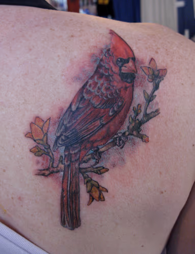redbird