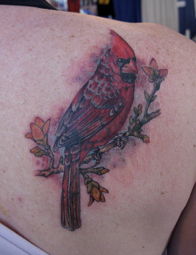 redbird