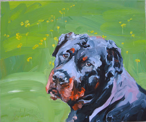 a.tort's pooch