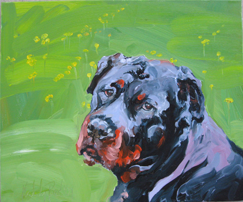 a.tort's pooch