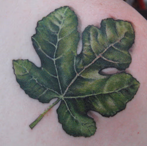 leaf