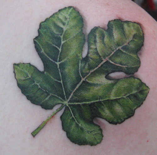 leaf