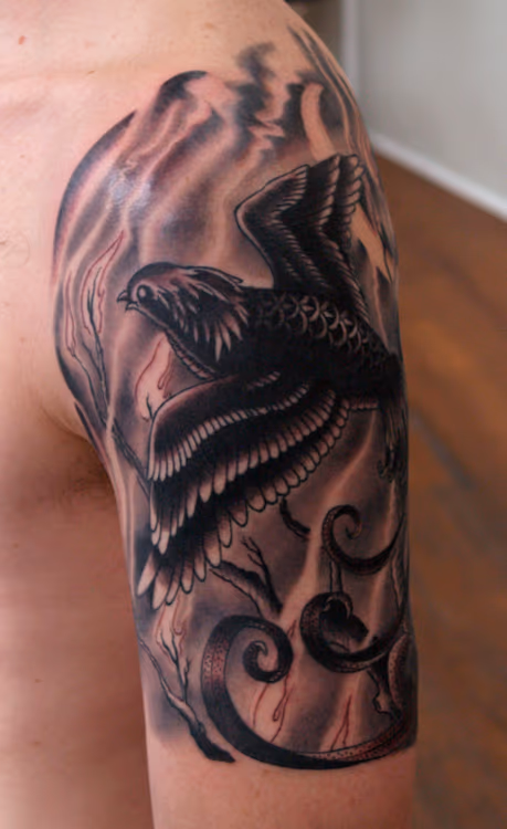 black fire bird