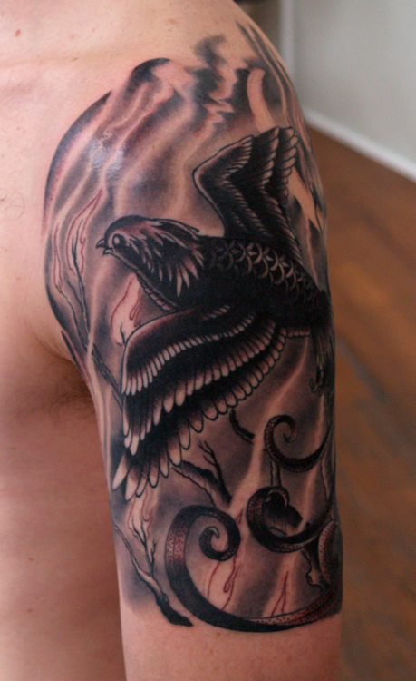 black fire bird