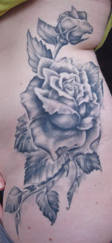 grey roses