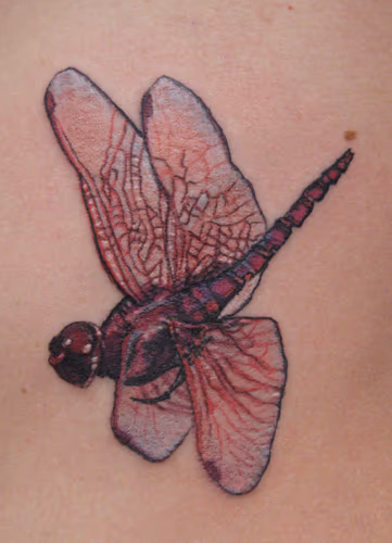 red dragonfly