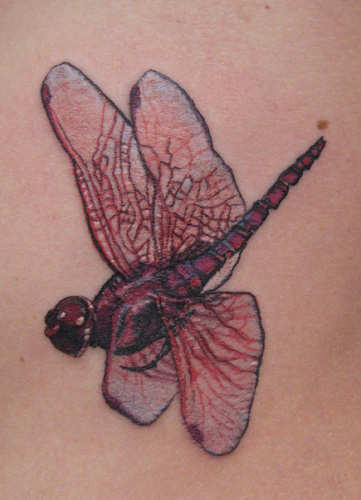 red dragonfly