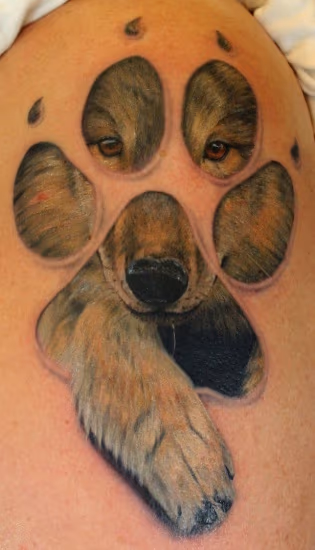 Wolf Paw