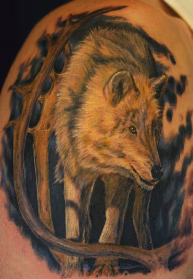 Wolf