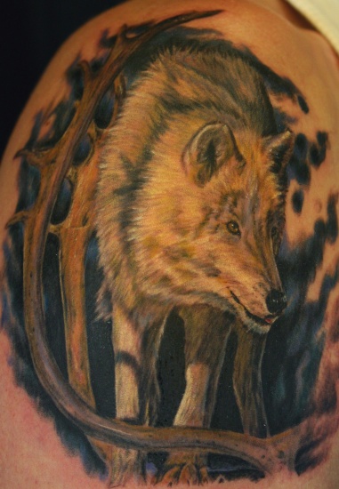 Wolf
