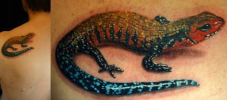 Lizard