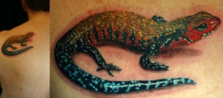 Lizard