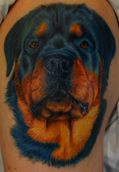 Dog