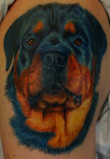 Dog