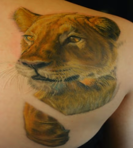Lion