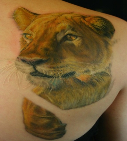 Lion