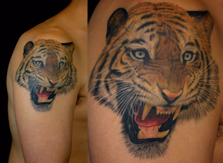 Mean Tiger