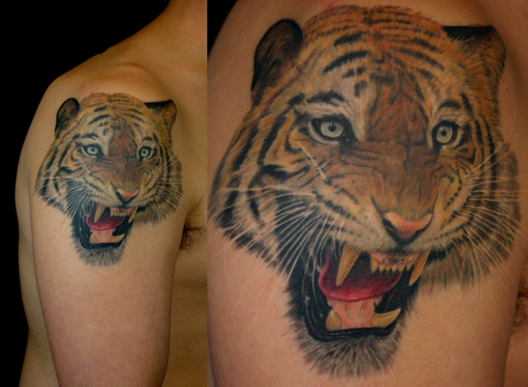 Mean Tiger