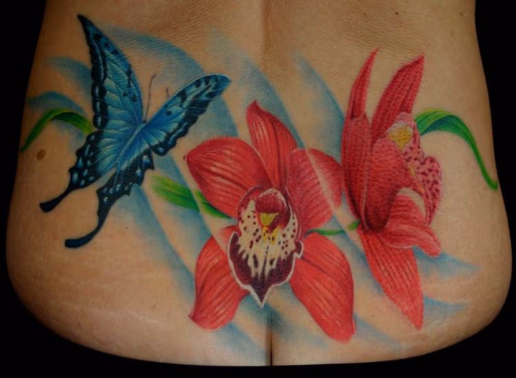 Butterfly and flowers
