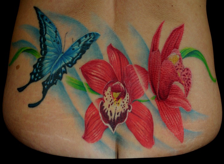 Butterfly and flowers