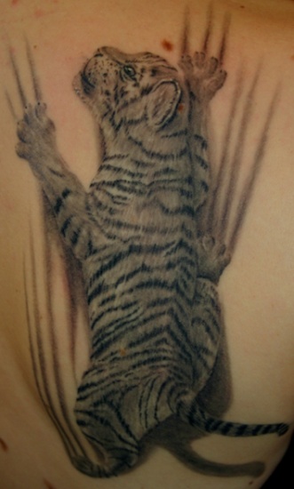 Little Tiger