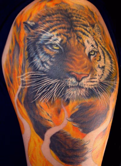 Tiger