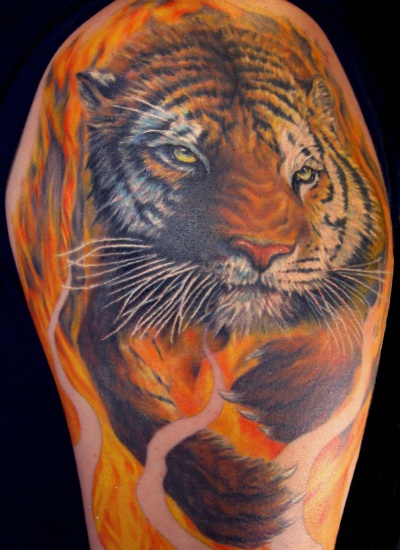 Tiger