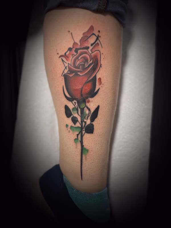 Rose Scar cover