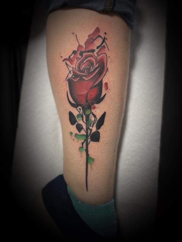 Rose Scar cover