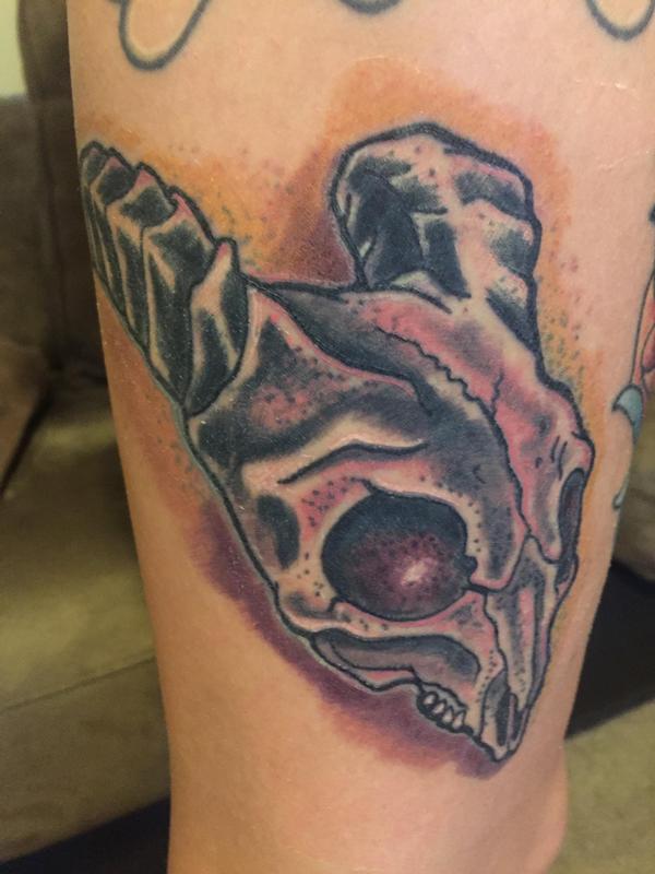 Ram skull