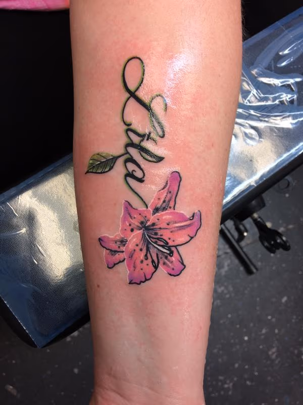Script Lily