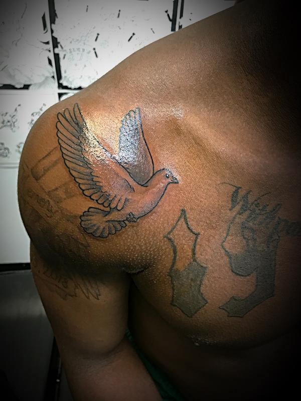 Black and grey dove