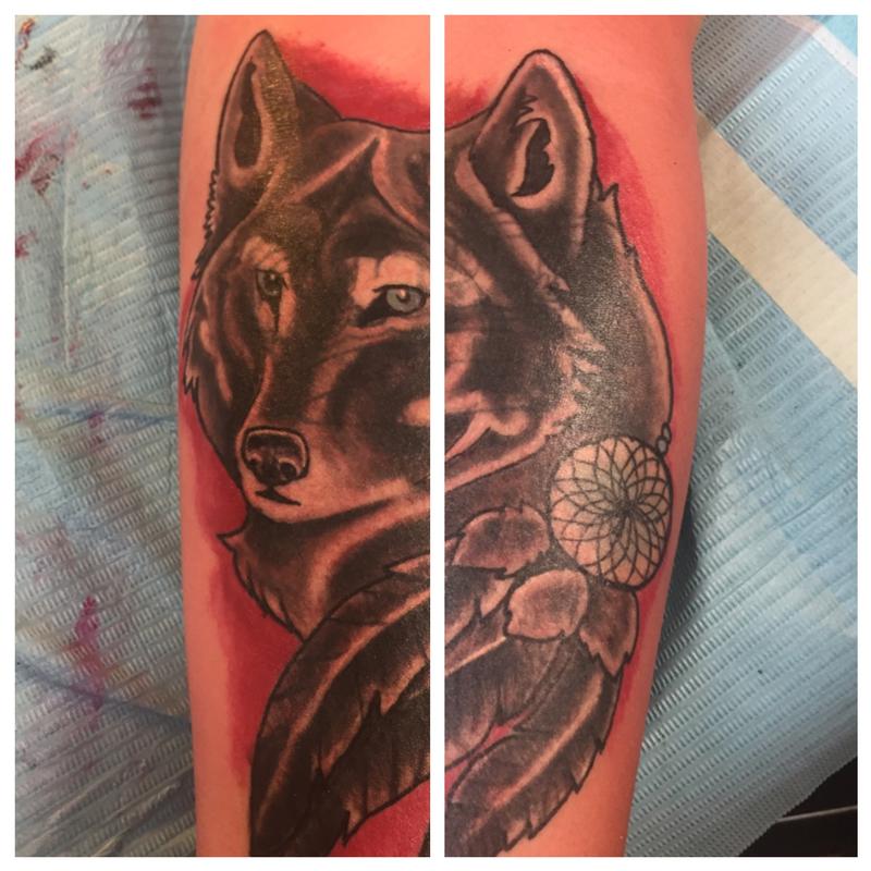 Wolf coverup